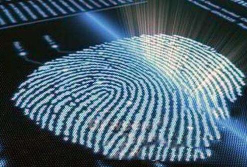 荷蘭科學(xué)家研發(fā)新型柔性高分辨率指紋識別傳感技術(shù) 荷蘭科學(xué)家研發(fā)新型柔性高分辨率指紋識別傳感技術(shù)